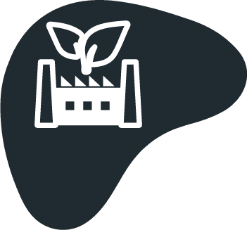 Innovation and Sustainability