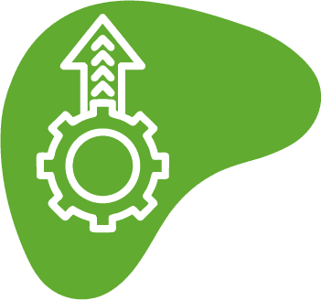 Operational Excellence