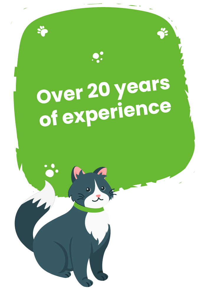 CAT WITH TEXT